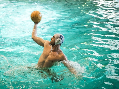 Chris Wendt