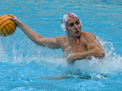 Francesco Brambilla