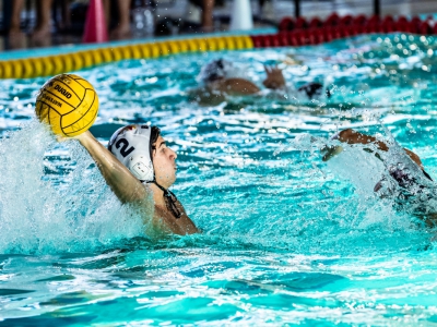 Vis Nova a Bologna per la continuità