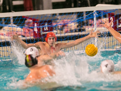 Olympic, con la Florentia per tornare a far punti 